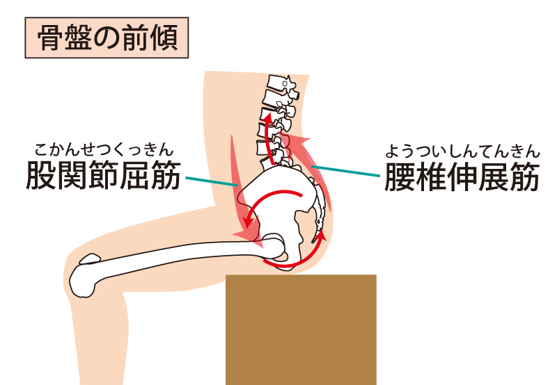 なぜ腸腰筋が腰痛に関係する?